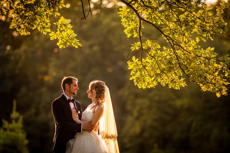 Fotógrafo de casamento Michał Lis (michallis2). Foto de 14 de setembro 2015