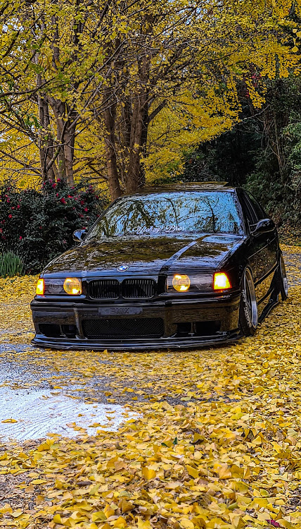 3シリーズ セダンのドライブ・イチョウ・BMW・E36に関するカスタム事例の投稿画像1枚目