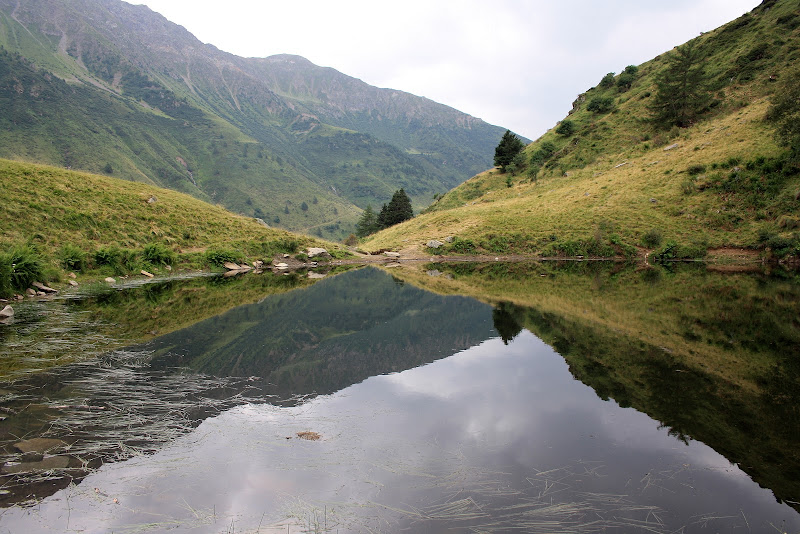 Specchiarsi nella Natura di daniela_bruzzone