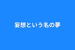 妄想という名の夢