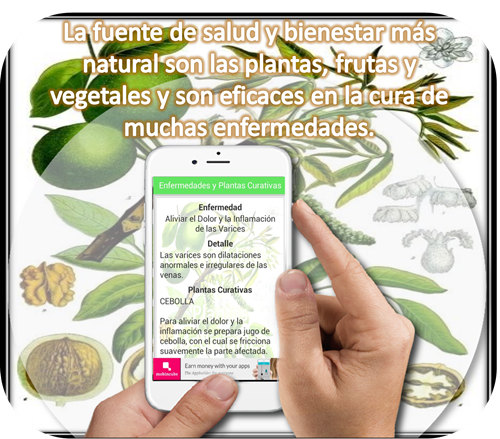 Plantas Medicinales