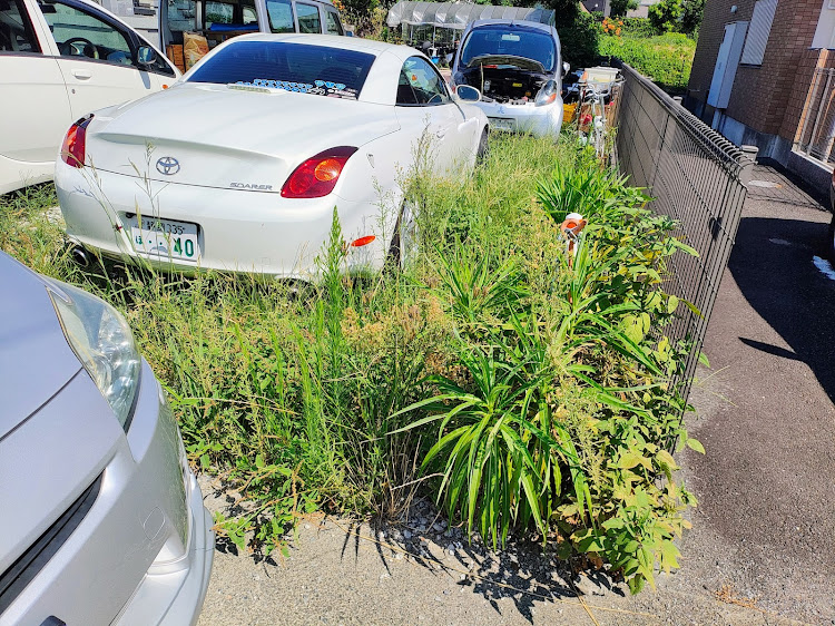 ソアラの草取り・SOARER　UZZ40・ACTY  HH5・三菱i・PRIUS 30に関するカスタム事例の投稿画像1枚目