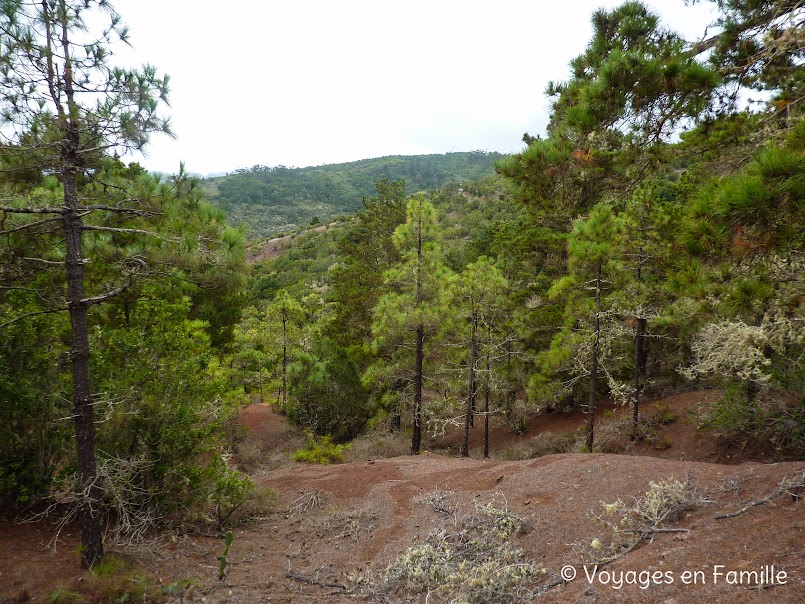 Forêt vers Juego de Bolas