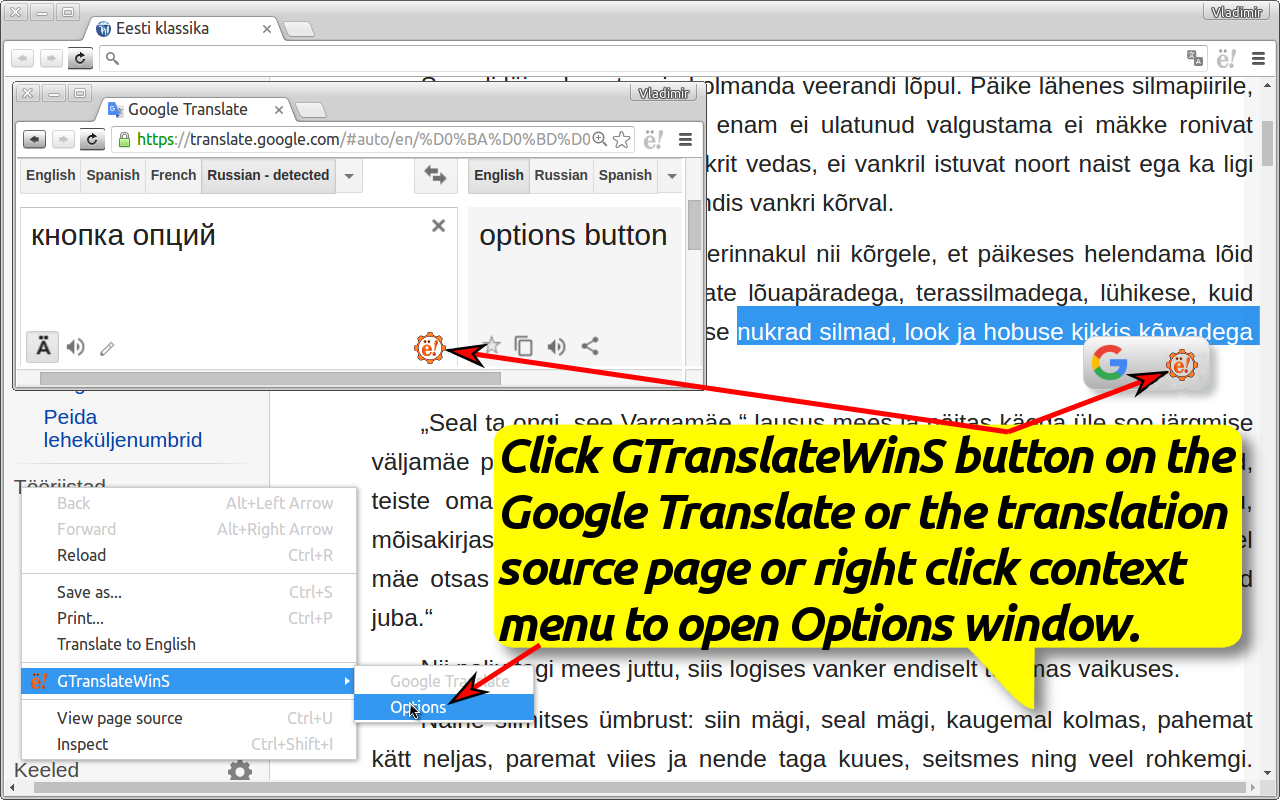 GTranslateWinS Preview image 6