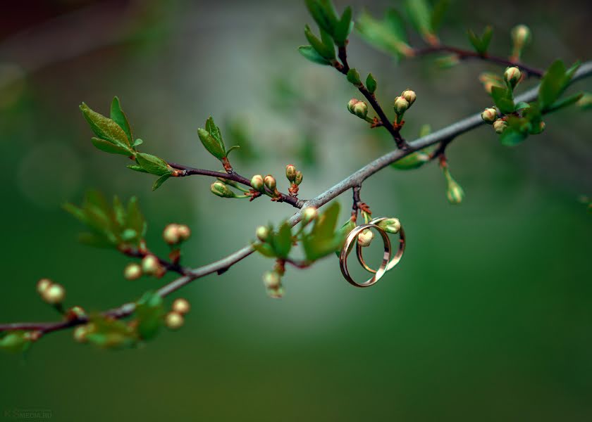 Bröllopsfotograf Sergey Kalabushkin (ksmedia). Foto av 10 maj 2016