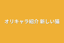 オリキャラ紹介+新しい猫