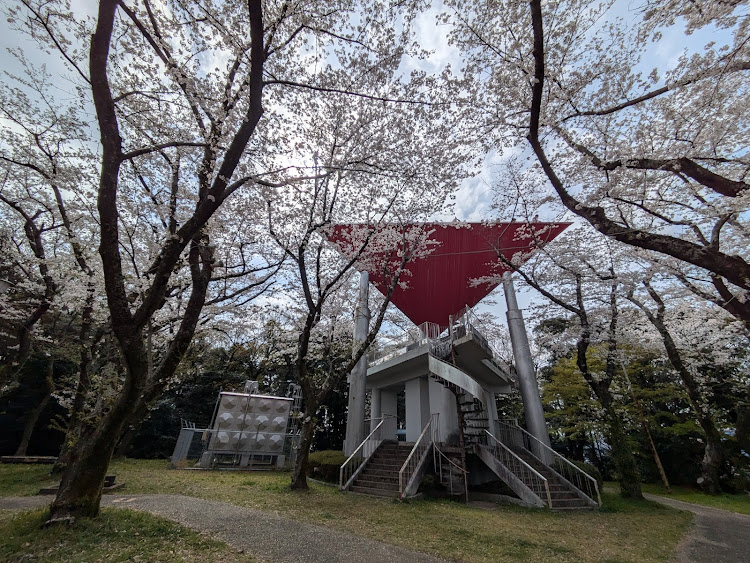 じゅん坊さんが投稿した道の駅 つくで手作り村・佐奈川桜並木・御津山園地・フェステバルマーケットに関するカスタム事例の投稿画像10枚目