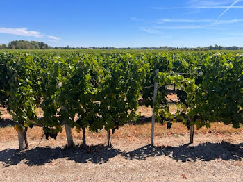 propriété à Saint-Emilion (33)