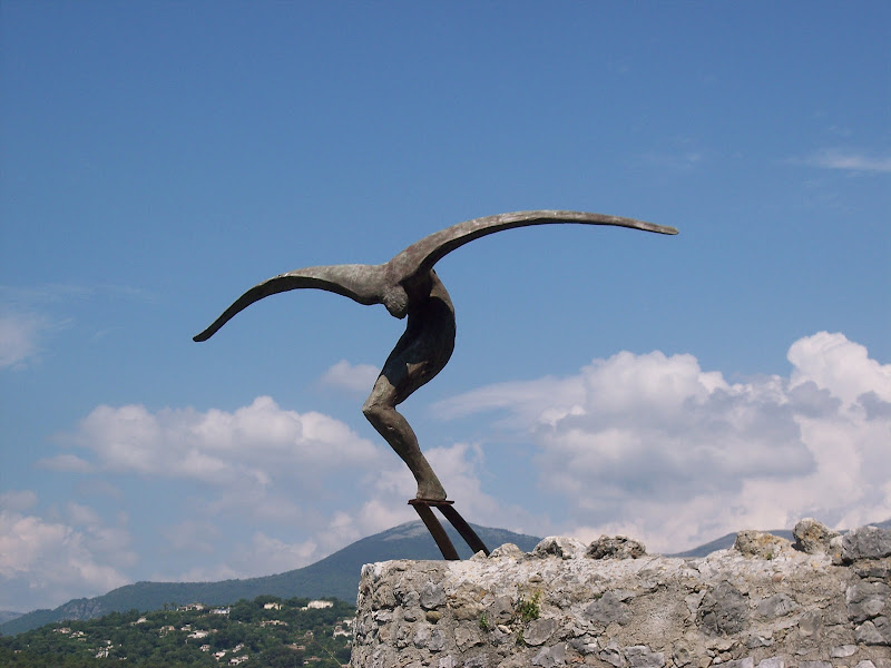 Il tuffo di elibetta