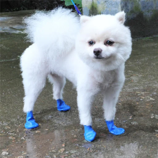 4Pcs/Set Waterproof Dog Shoes For Chihuahua Balloon Type Rubber Rain Boots Portable Dog Accessories Outdoor Footwear Soc