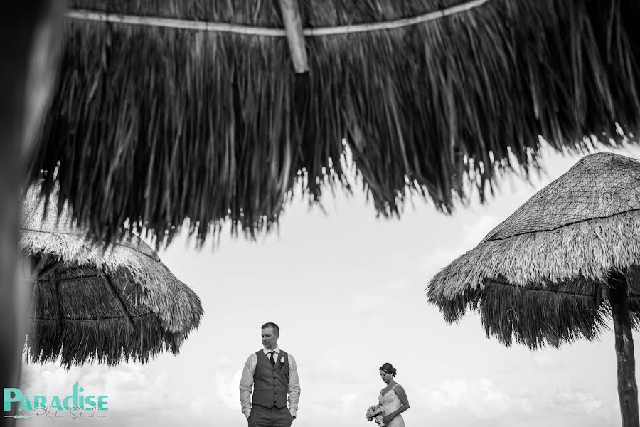 Fotógrafo de casamento Ashley Posusta (paradisephoto). Foto de 20 de março 2019