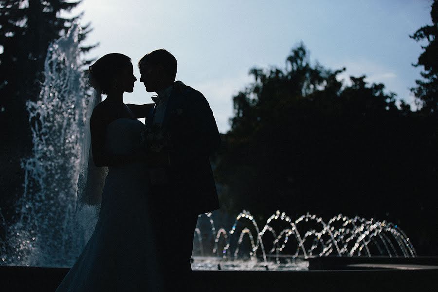 婚礼摄影师Aleksey Temnov（temnov）。2013 9月17日的照片