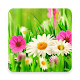 Download Beauty Spring Wallpaper For PC Windows and Mac 1.0.2