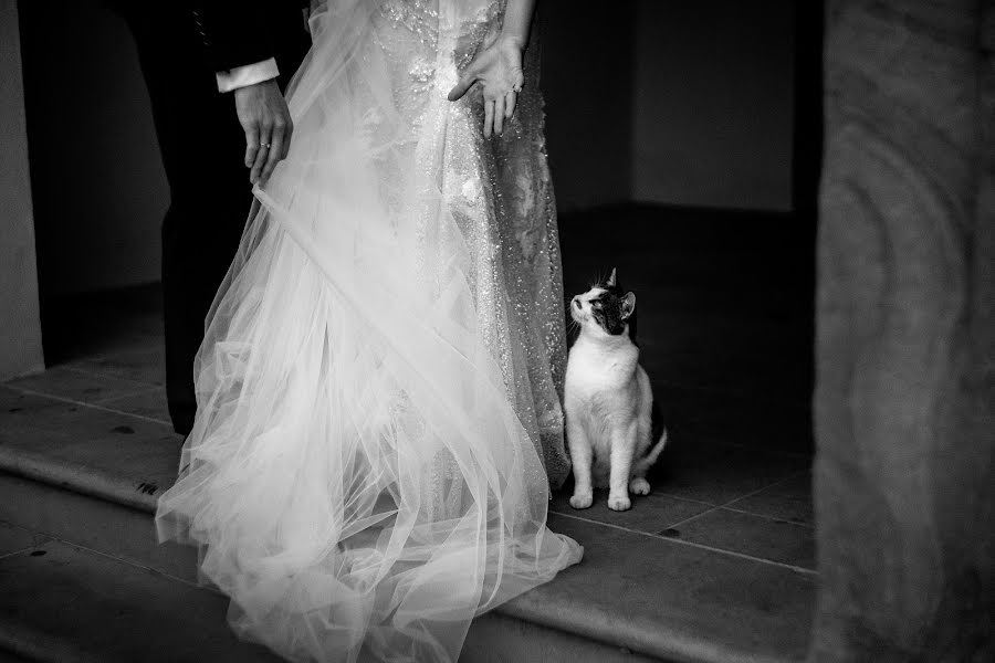 結婚式の写真家Aneta Rozmus (anetarozmus)。2022 10月28日の写真