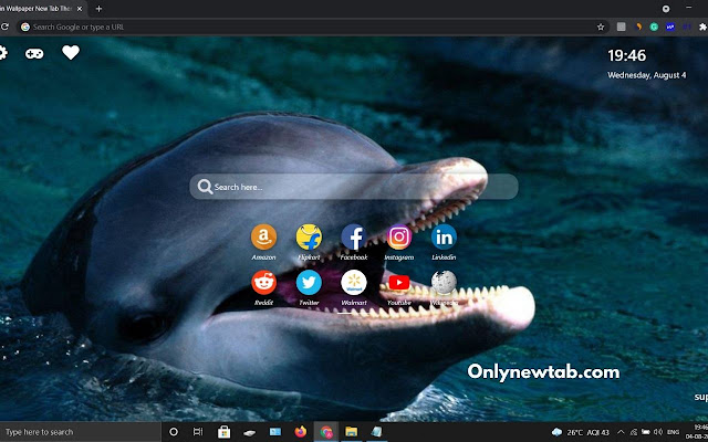 Dolphin Wallpaper New Tab Theme