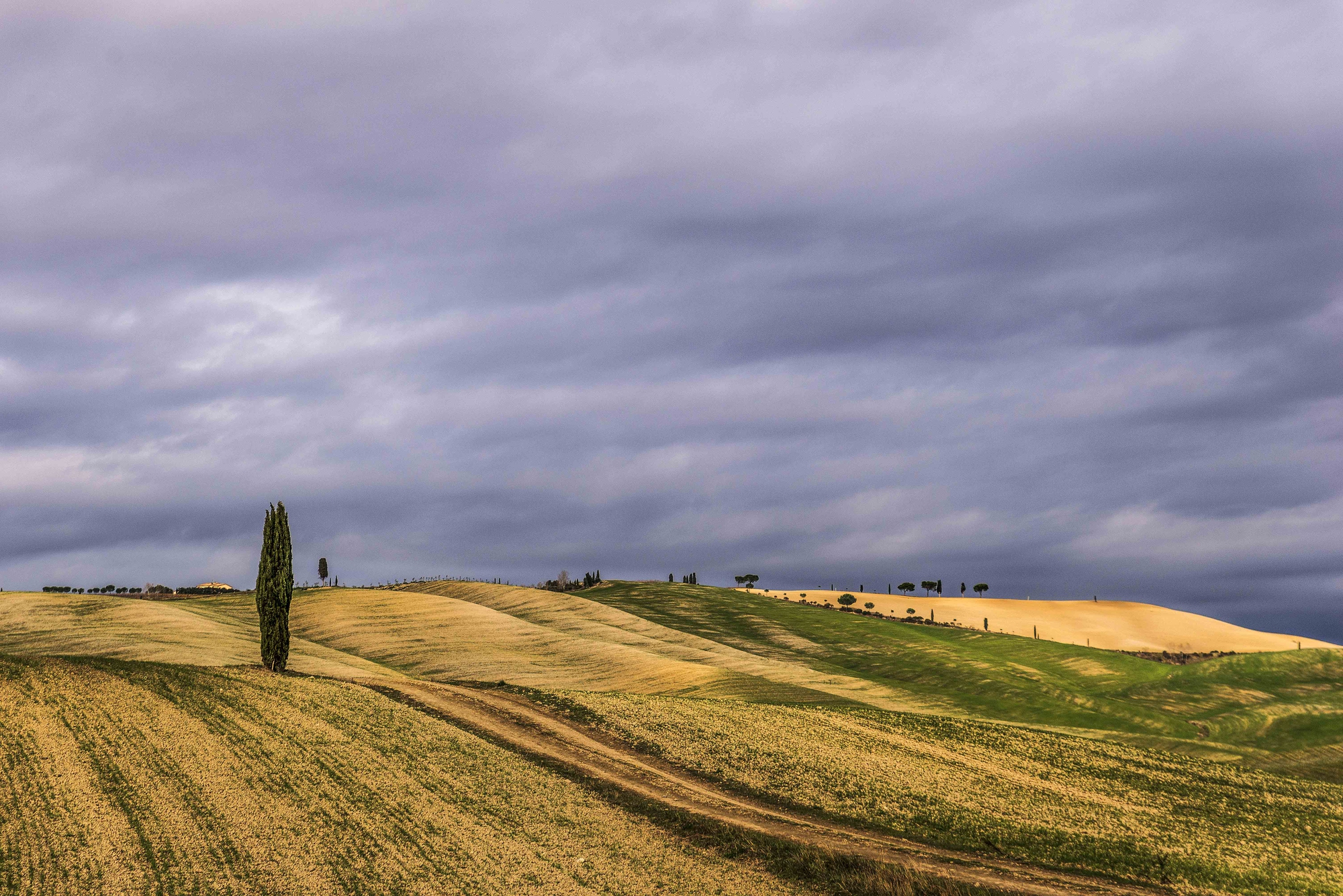 La vera casa dell’uomo non è una casa, è la strada. La vita stessa è un viaggio da fare a piedi. (Bruce Chatwin) di Viola1