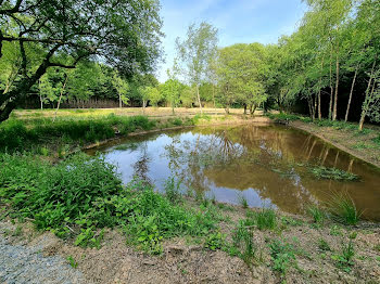 terrain à Langouet (35)