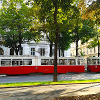 Tram Vienna di 