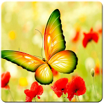 Cover Image of Baixar Butterfly Live Wallpaper 1.0 APK