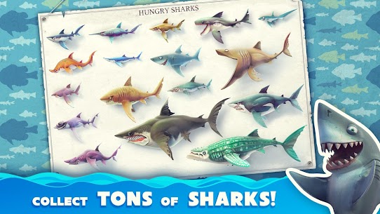 Hungry Shark World MOD (Unlimited Money) 1