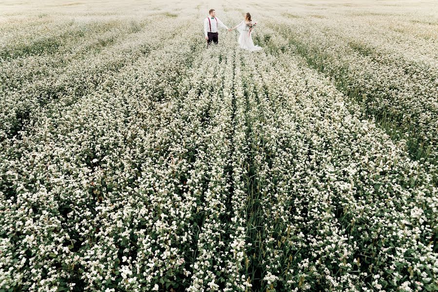 Pulmafotograaf Aleksey Laguto (laguto). Foto tehtud 31 juuli 2019