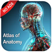 Gray's Atlas of Anatomy Pro (No Ads) Mod Apk [Paid for free][Free purchase]