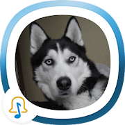 Dog Sounds 4.0.2 Icon