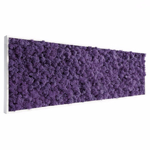 Tableau végétal stabilisé Lichen violet 112 x 60 cm