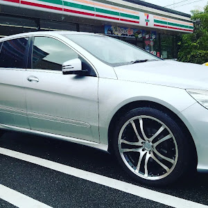 Rクラス W251