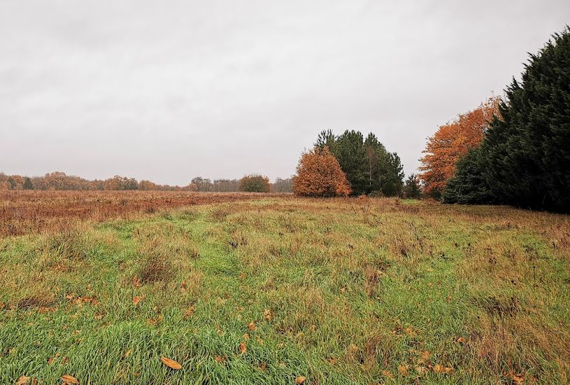  Vente Terrain + Maison - Terrain : 1 200m² - Maison : 95m² à Sainte-Maure-de-Touraine (37800) 