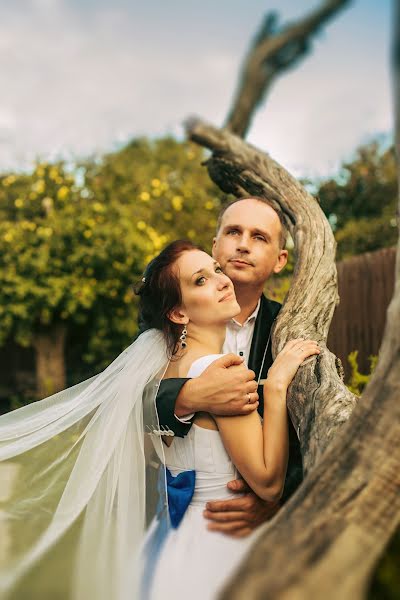 Photographe de mariage Katerina Luschik (sunday). Photo du 29 novembre 2015