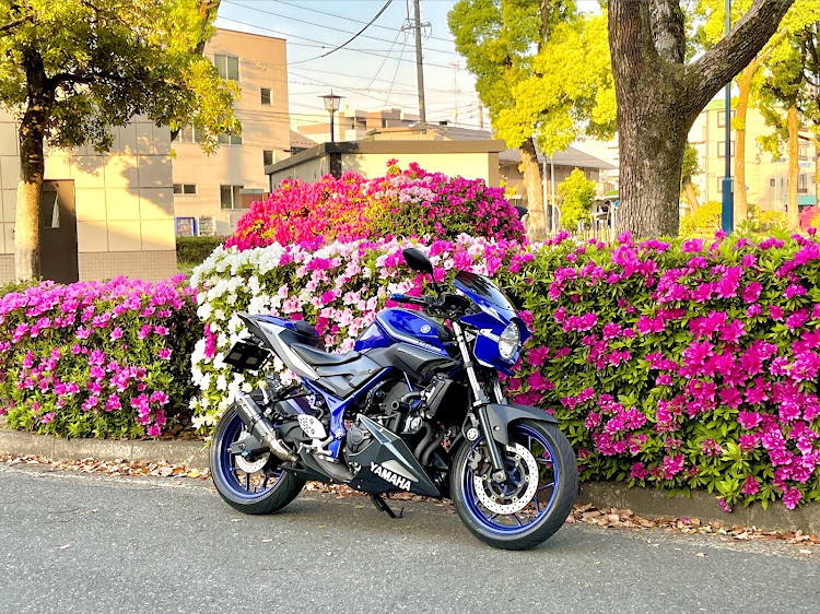 ニッシイさんが投稿したYAMAHA MT25・MT25・RG10J・ツツジ・垣根に関するカスタム事例の投稿画像4枚目