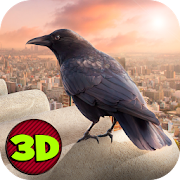 City Bird Crow Simulator 3D  Icon