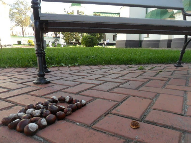 вересень-2015