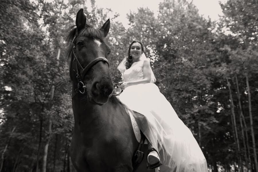 Fotógrafo de casamento Sergey Kalenik (kalenik). Foto de 3 de julho 2021