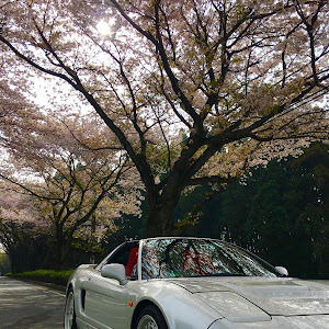 NSX NA2
