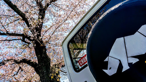 ジムニー Ja11vの葉桜コラボ 窓枠ゴム交換 ウェザーストリップ交換 キリ番getに関するカスタム メンテナンスの投稿画像 車 のカスタム情報はcartune