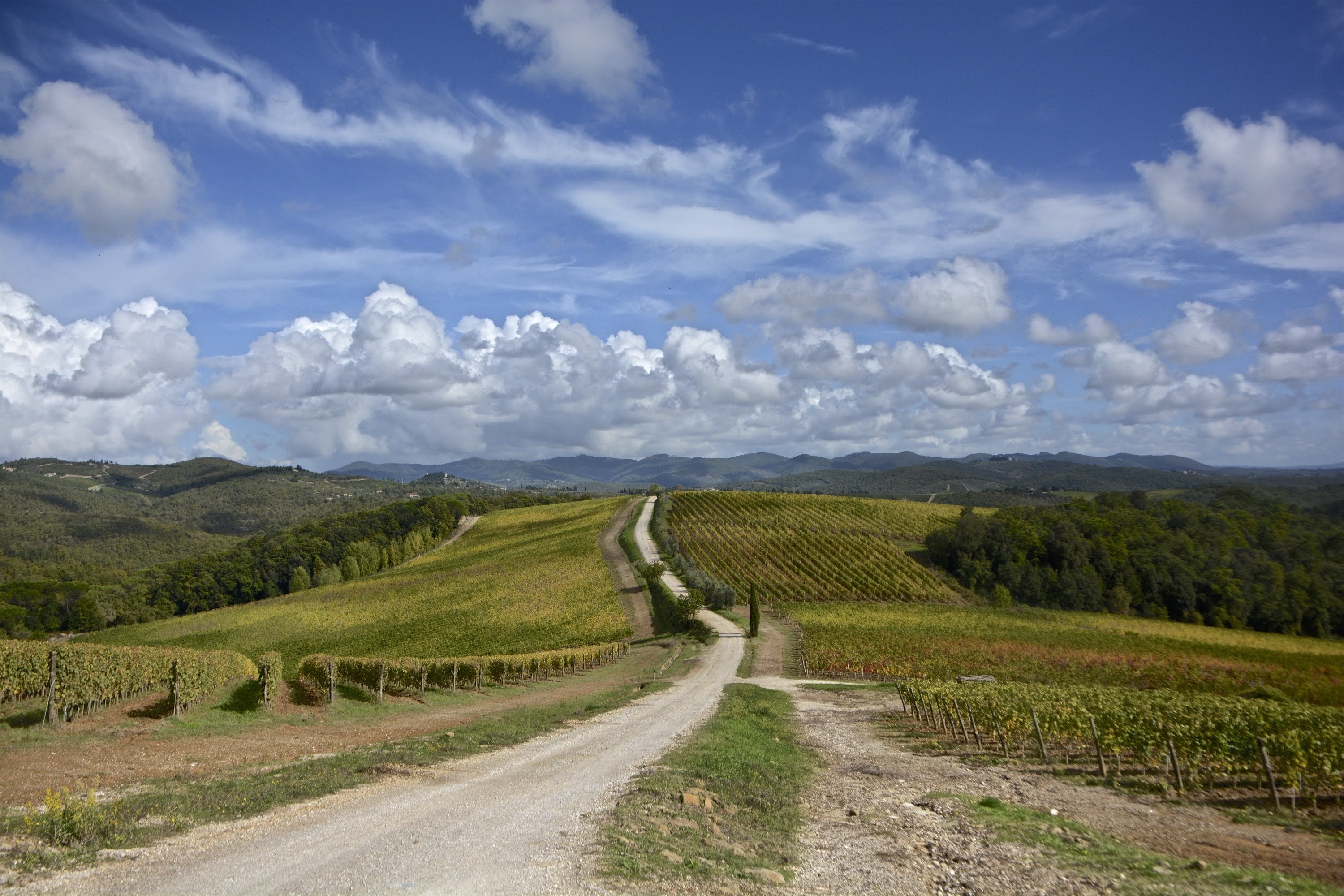 Trekking and hiking in the Chianti Region