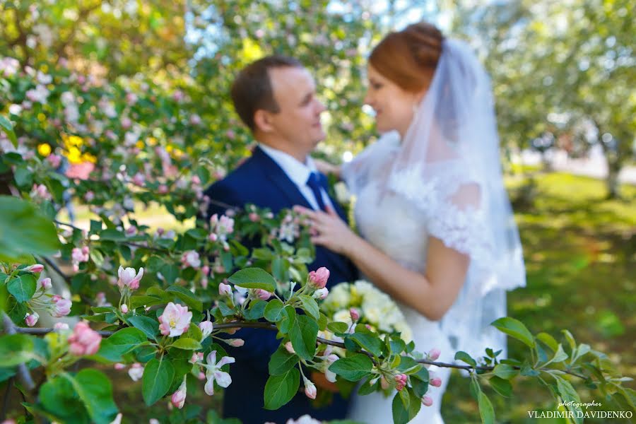 Fotógrafo de casamento Vladimir Davidenko (mihalych). Foto de 27 de abril 2018