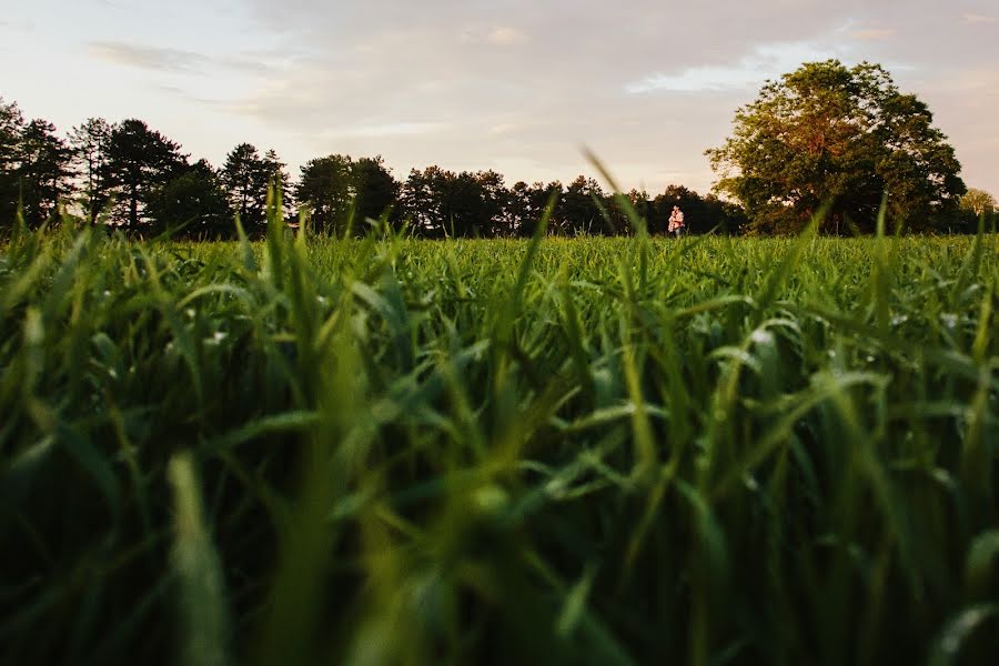 Vestuvių fotografas Sergey Rzhevskiy (photorobot). Nuotrauka 2015 gegužės 14