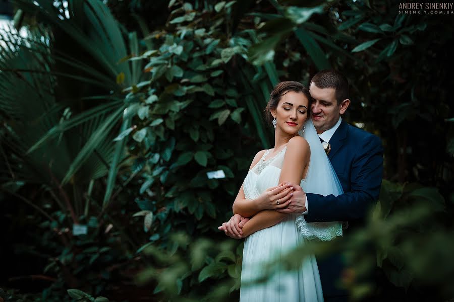 Photographe de mariage Andrey Sinenkiy (sinenkiy). Photo du 30 janvier 2017