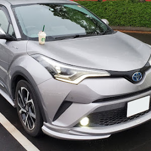 C-HR ZYX10