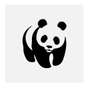 Cute Panda