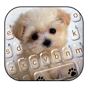 ダウンロード Innocent Puppy Keyboard Theme をインストールする 最新 APK ダウンローダ