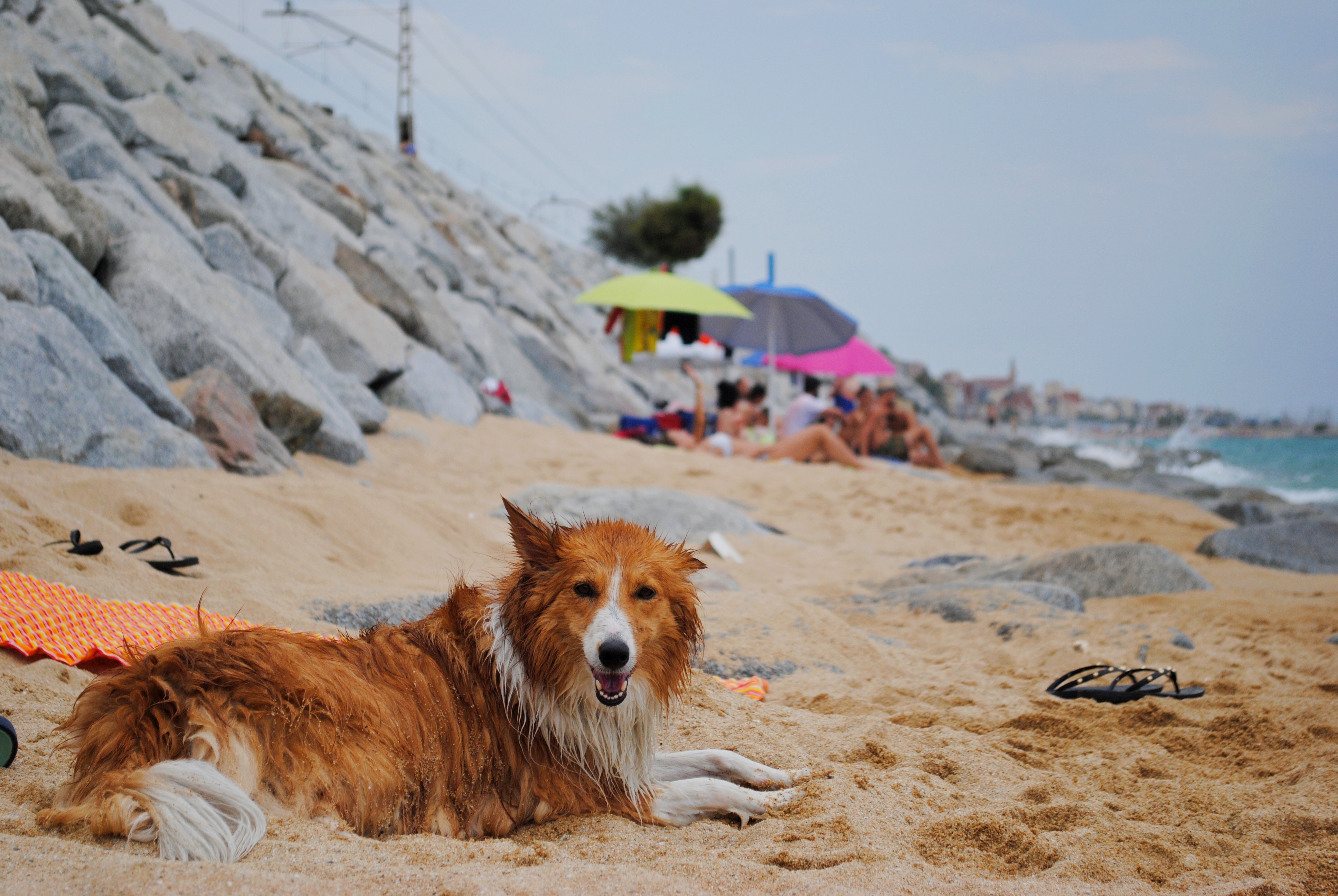 Guardia balneare di Billy_