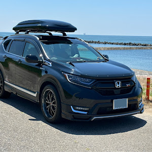 CR-V RW2