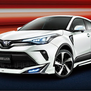 C-HR ZYX11