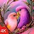 Birds Wallpaper 4k 2024 icon