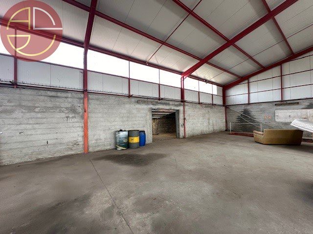 Vente locaux professionnels 1 pièce 1170 m² à Toulouse (31000), 1 260 000 €