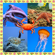 Sea Creatures Collage  Icon